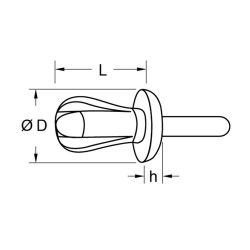 Zeichnung-Spreizniet-Typ-R